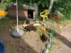 Hundebabys kl..jpg