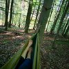 IMG-20180816-WA0042.jpg