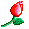 Blume76 :blume76: :blume76: